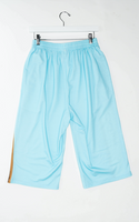 Signature Stripe Long-Length Shorts in Light Blue